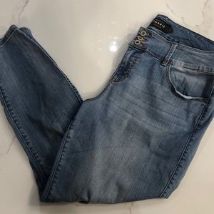 Distressed Torrid Skinny Jeans